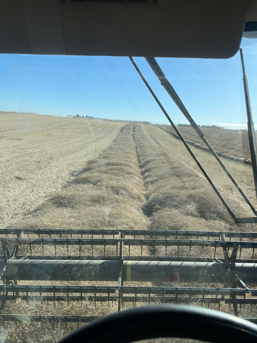 Allison farms tweet media