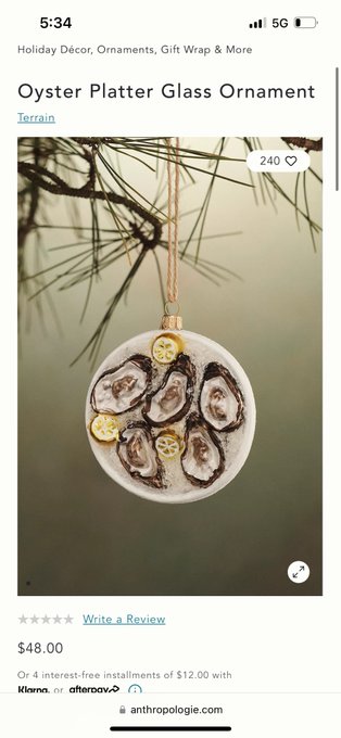 no thoughts just vibes and this $48 oyster christmas tree ornament https://t.co/EbVAbufhUy