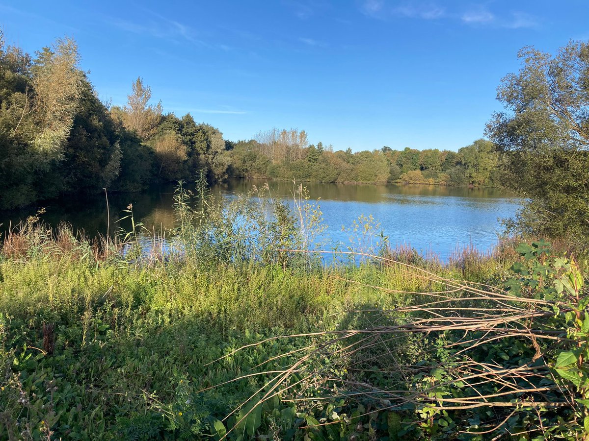 justgiving.com/swansupport