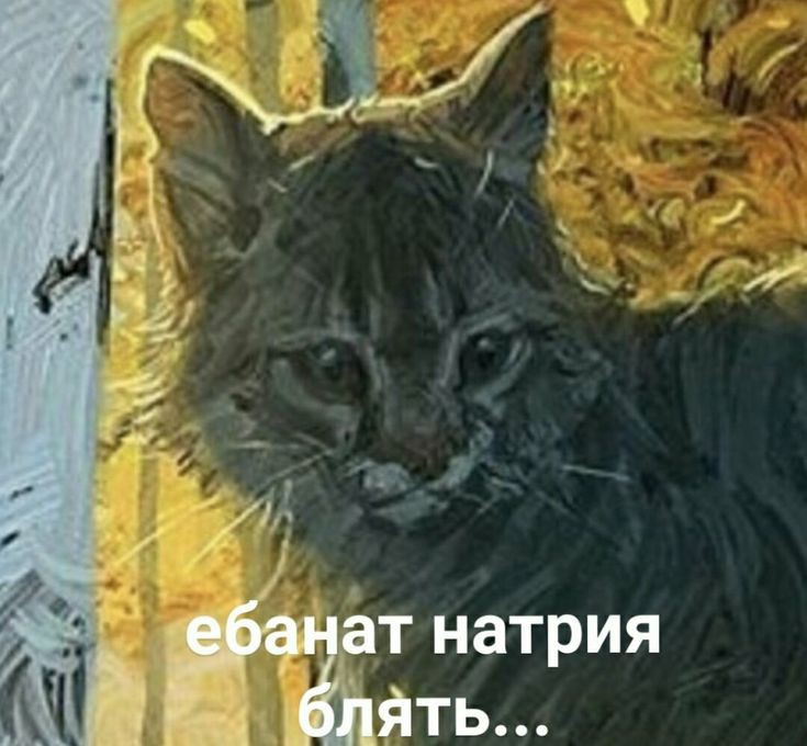 morrelev's tweet image. раз в год и палка стреляет