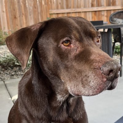 #NewProfilePic