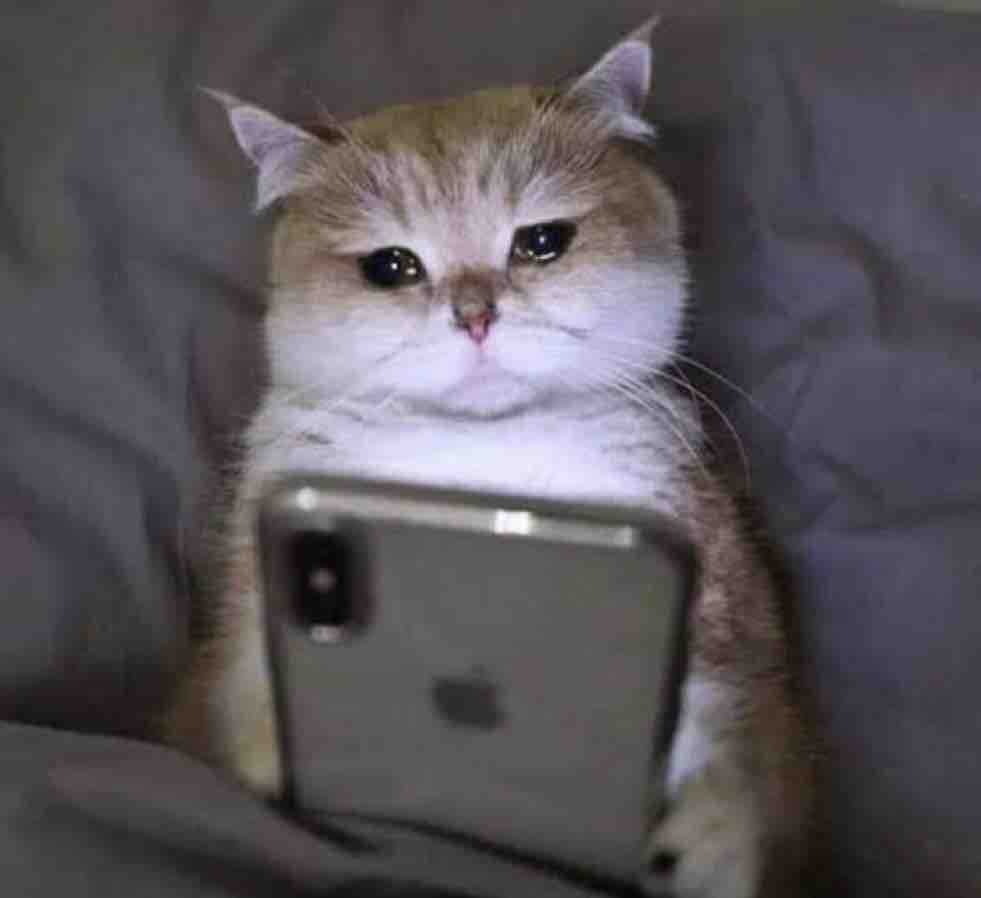 Guarromantico_'s tweet photo. Yo poniendo mis alarmas ahorita. https://t.co/dtWdThQQWi