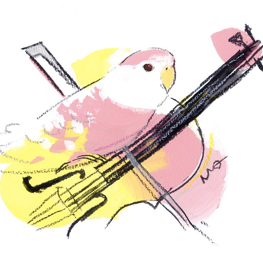 「「バイオリンとアキクサインコさん」 2024鳥さんカレンダー4月のイラスト ふと」|オクムラミチヨのイラスト