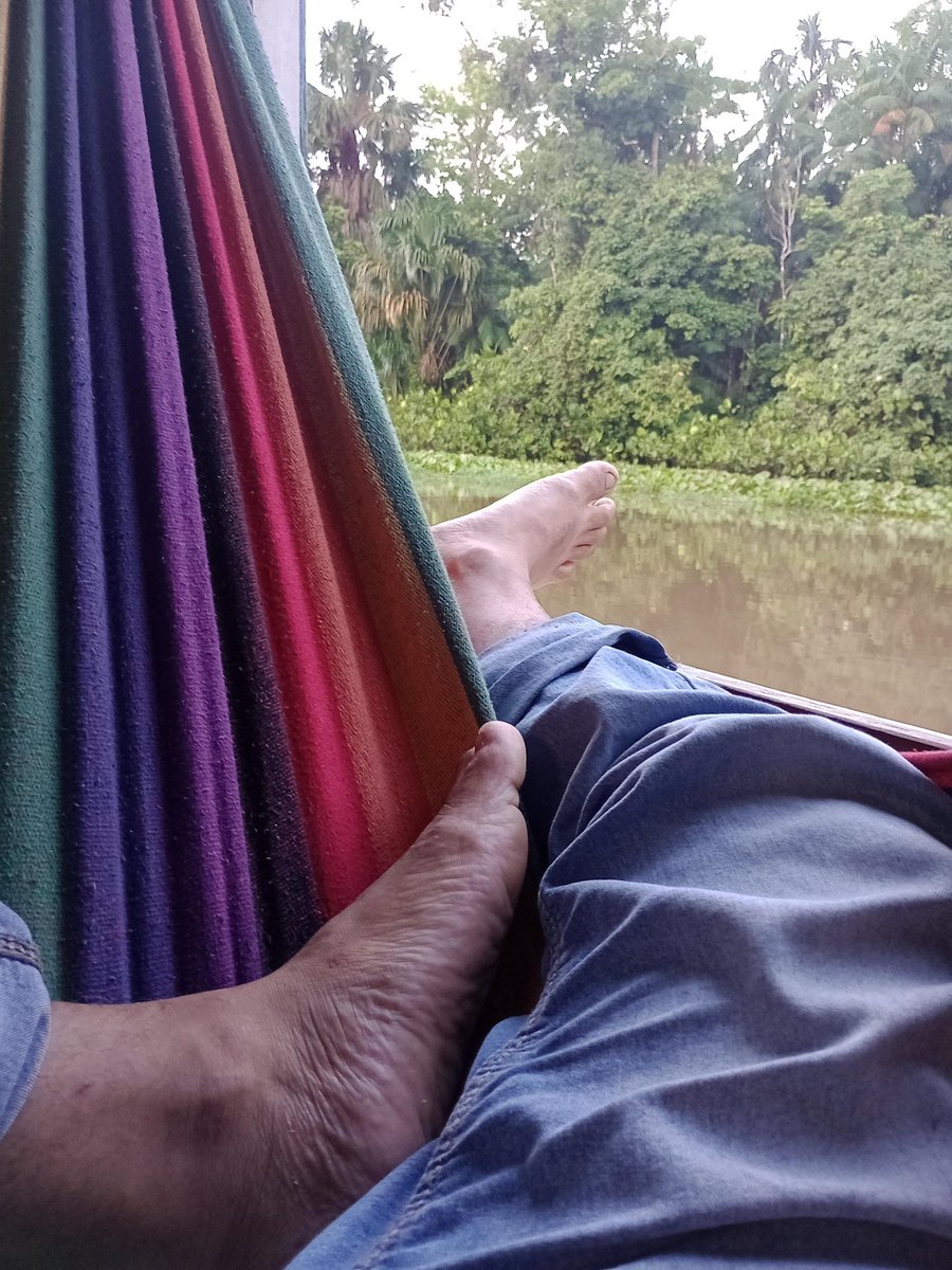 ezeqbars's tweet photo. Os barcos são nossas principais formas de locomoção dentro de nosso município. Gurupá e as navegações possuem uma relação mútua desde antes de seu status elevado a vila e até os dias atuais.  #gurupa400 https://t.co/RgiX97mnUo