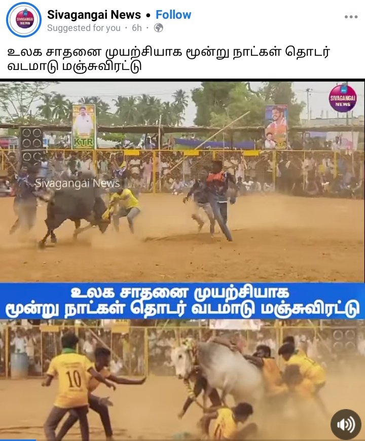 சிவகங்கையில் உலக சாதனை முயற்சியாக மூன்று நாள் தொடர் வடமாடு மஞ்சுவிரட்டு..🔥🔥