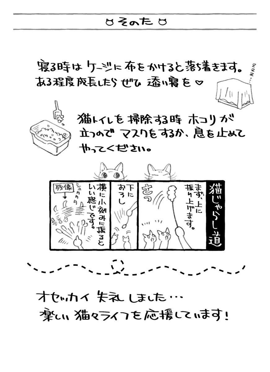 #今日の山野絵 #今日の山野漫画 「旅立つ猫が、遺された者たちが寂しくないようにあれこれイベントを準備していた(かもしれない)話。」 おまけの「こねこひきつぎしょ」その2 こういうの作るの楽しいんですよねぇ…❤ 見てくださってありがとうございました😊🙏🐈