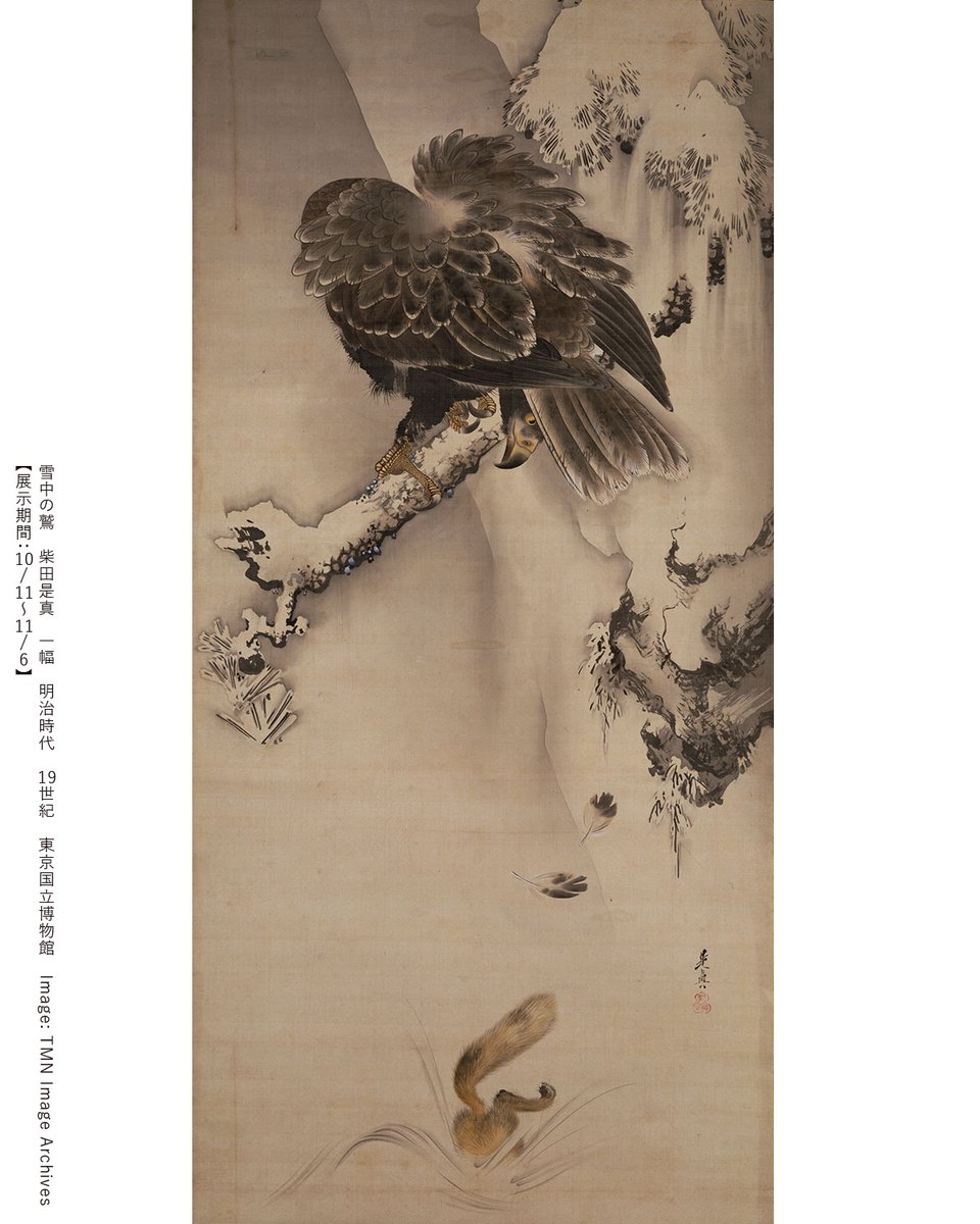 sun_SMA's tweet photo. ＼大鷲の鋭い視線／
漆工と絵画を得意とし、人気を博した柴田是真。
雪深い山の中、松の枝に止まる大鷲の視線の先には、小動物が必死に逃げようとする姿が。獲物を狙った一瞬を切りとった肉筆画です。
#バクマツ展 #幕末絵師 #柴田是真 
https://t.co/S4EawAw5PU https://t.co/kYnpNtVE8q