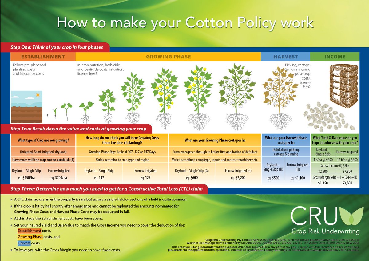 We’re pleased to confirm we are open for Cotton quoting for 2023/2024 and to help introduce how cotton insurance works we have updated the Cotton Brochure for this season.

Click on the link below, to download the brochure.
cruw.com.au/cotton-insuran…