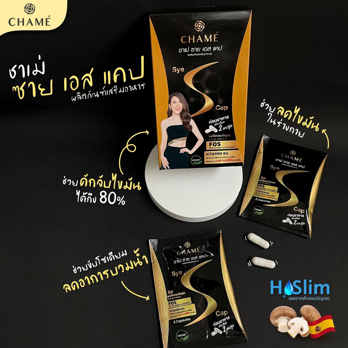 จะมื้อไหนก็อย่าลืมพก ‘ชาเม่ ซาย เอส แคป’ 
ติดตัวไปสนุกกับการกิน วันละ 2 เม็ด ก่อนมื้ออาหาร 15 นาที  ช่วยในการดักจับไขมัน และช่วยลดอาการบวน้ำ และคนทาน Vegan , มังสวิรัติทานได้ 
#CHAMETHAILAND #CHAMESYESCAP
#ชาเม่ซายเอสแคป #H2OSLIM #สารสกัดจากเห็ดแชมปิญอง