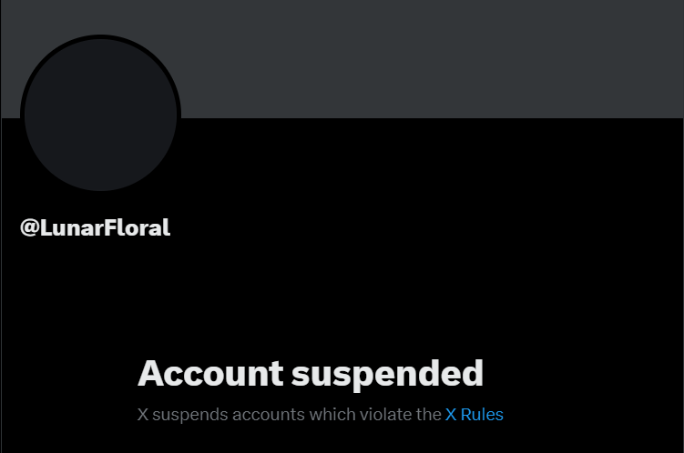 Yeah so apparently I pissed somebody off, made some "violent speech" that Twitter refuses to explain after responding to my appeal only 5 minutes after submitting my appeal and now my main got perma-suspended.

10/10 platform. RT to help me find mutuals-