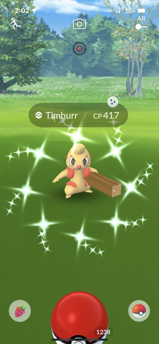 TeamValorCF17's tweet photo. Had a blast today! Taylor Swift, Timburr, and two purple shinies! Played with my sister, @SnowConeZoe ❤️Thanks for the Timburr ticket, @roelsteven28 🙌🏻#PokemonGo #ShinyPokemon #TimburrCommunityDay https://t.co/YMmr0JCZfD
