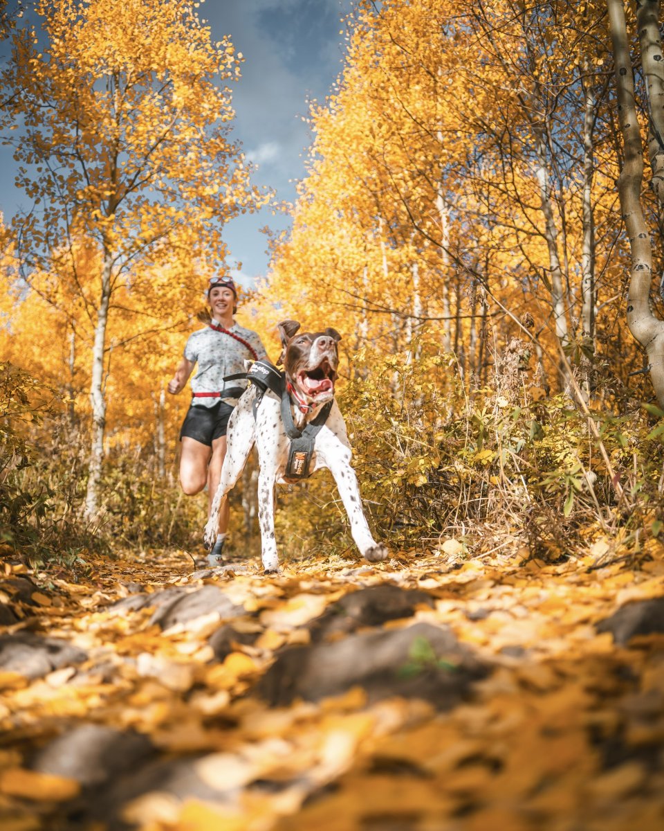 An exact representation of how we feel about running in fall weather (finally). 🍂  Are you the over-dresser or 'I'll warm up in the first mile' type of runner?

#runinrabbit #borntorunfree