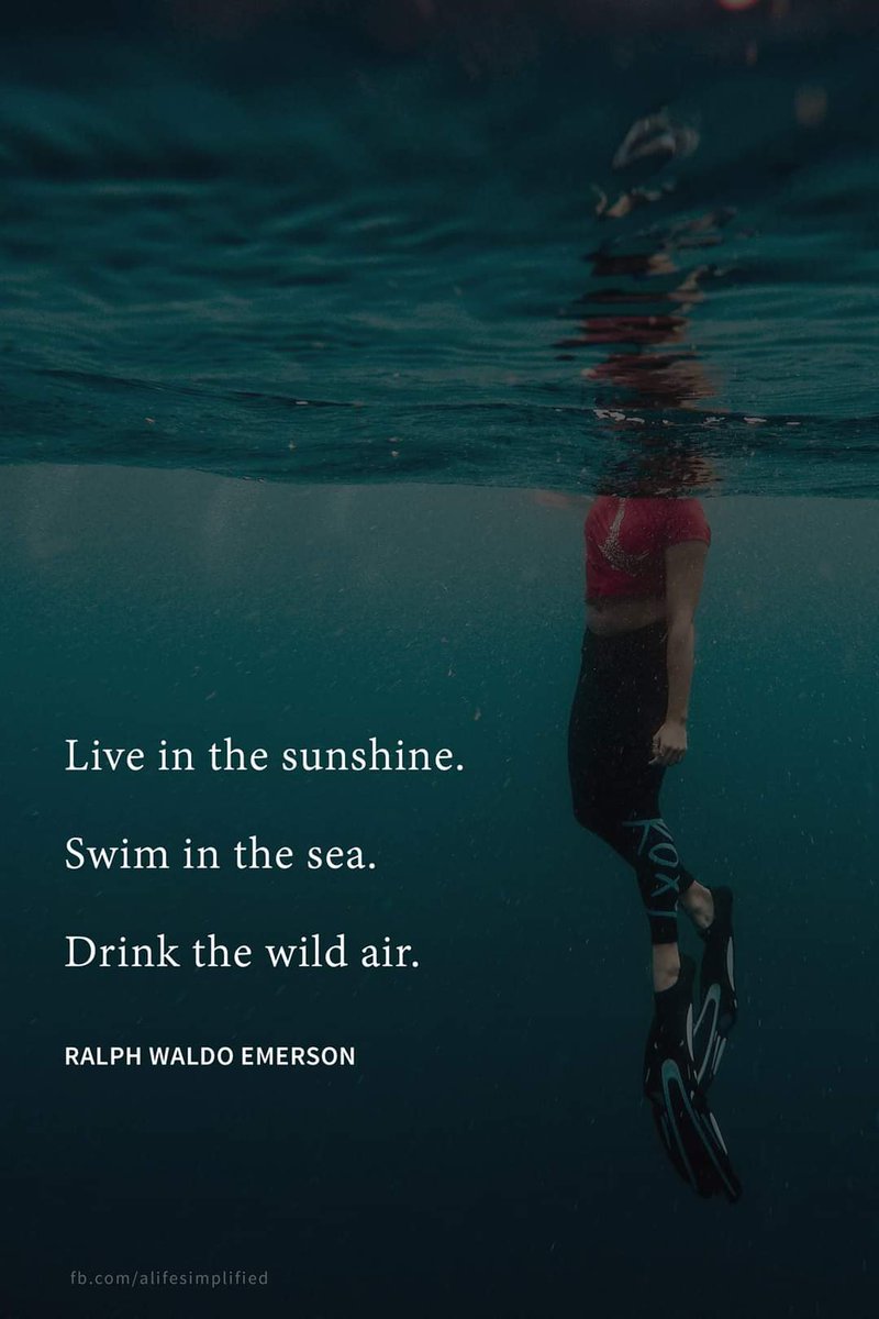 LiveWellThisDay's tweet photo. https://t.co/H8RGF1yi3r