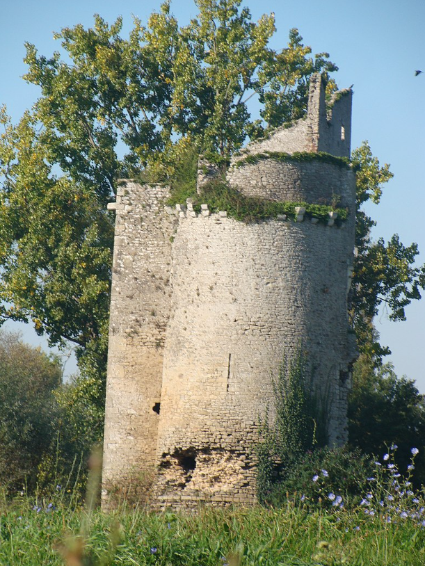 Le Château de Machecoul en ruine, forteresse des marches de Bretagne fut aussi la demeure de Gilles de Rais 🏰

Seigneur Breton de ces lieux, connu pour ses exploits en tant que compagnon de Jeanne d'Arc, mais aussi tueur d'enfants. Triste histoire.

#Histoire #Bretagne