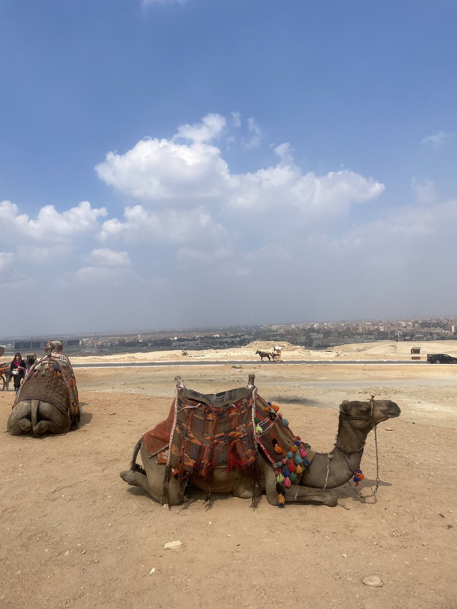 annabel1D3D's tweet photo. A wonderful time shooting a commercial in #cairo #egypt #boxing https://t.co/5G96LRF5di
