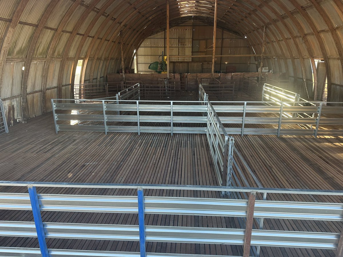 Doom and gloom about sheep but happy how yards have come up.  Cheers jab building did wicked job.