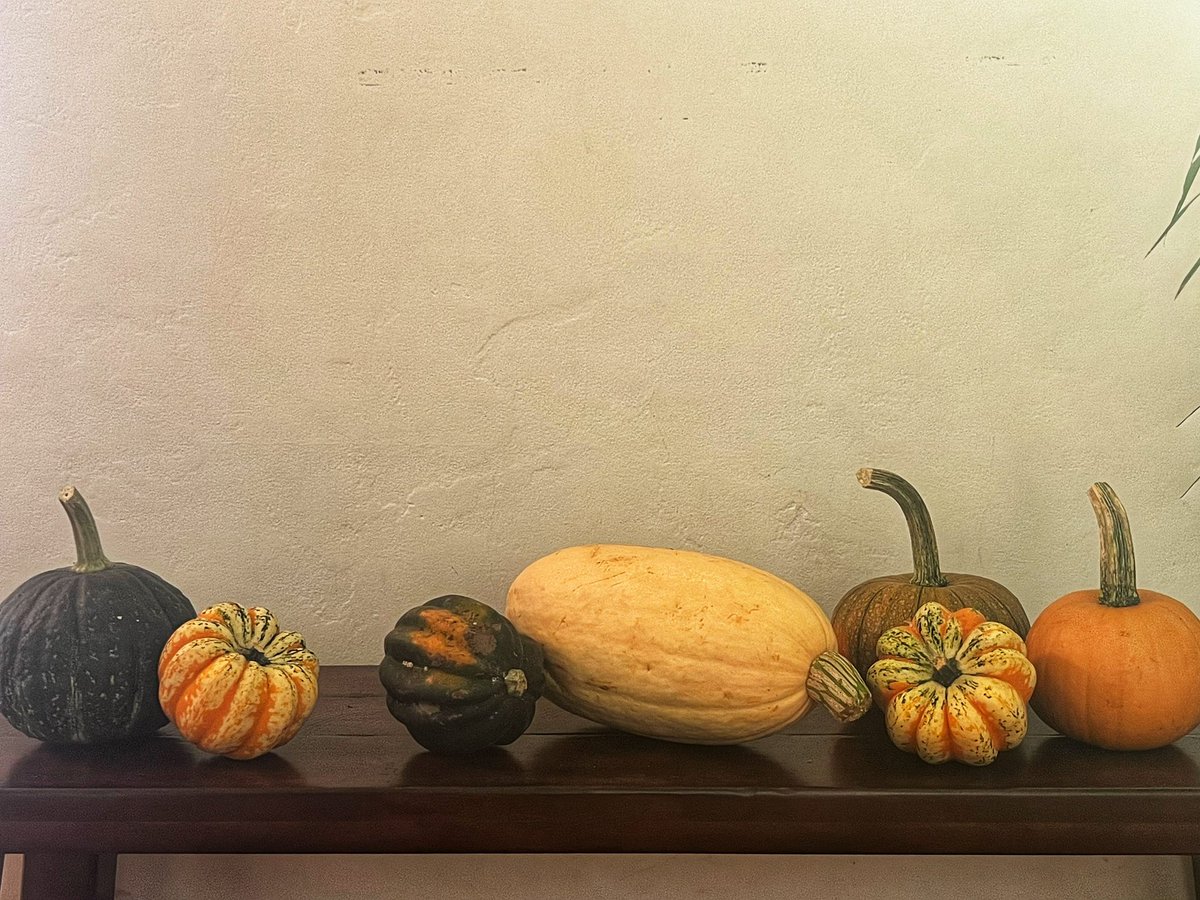 According to the ancient calendar, the time of cold dew (寒露) is a season of disappearing light and lengthening nights. When temperatures begin to drop and cold dew forms on the grass like glistening diamonds. dreaminginjapanese.substack.com/p/the-time-of-…