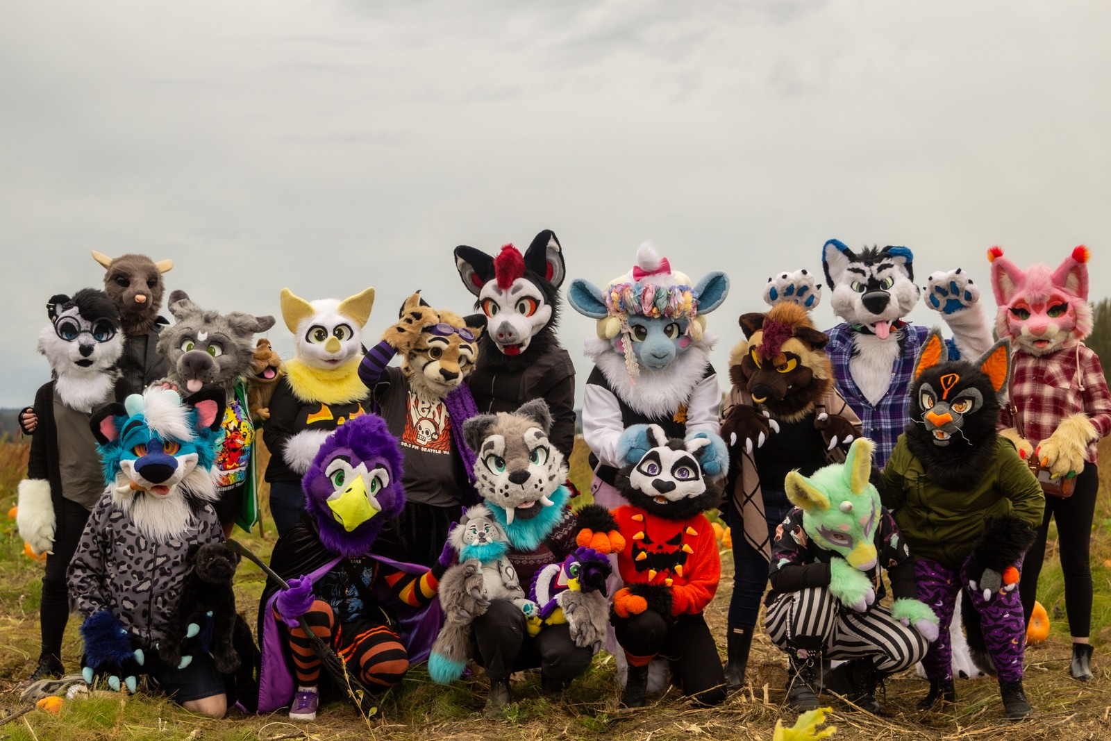 Welcome to Furtrack! Fursuit photo sharing, tagging & discovery