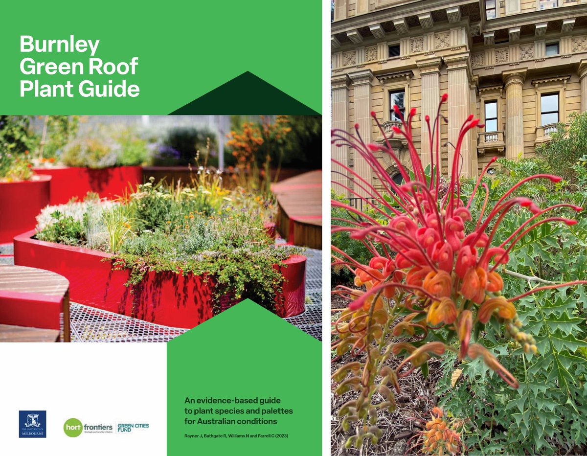 Very happy to have launched the new Burnley Green Roof Plant Guide with our valued research partners at Victoria’s Parliament House last week. 

lnkd.in/gqkGgn2