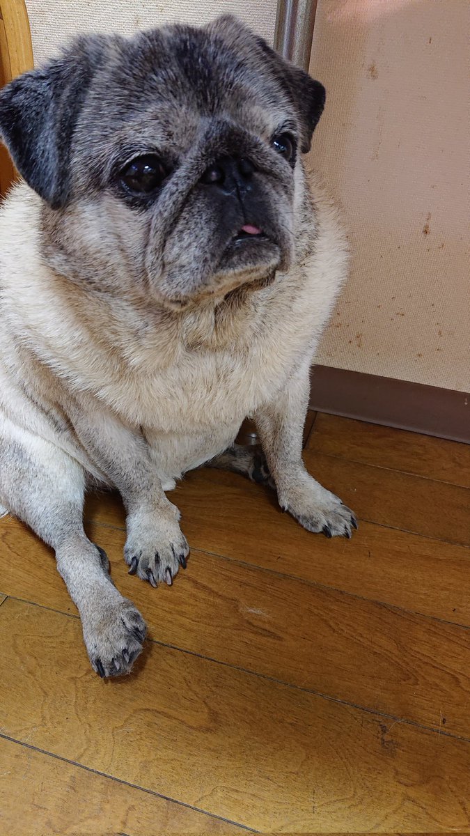 おはようございます☀
今日も素敵な一日になりますように🌈