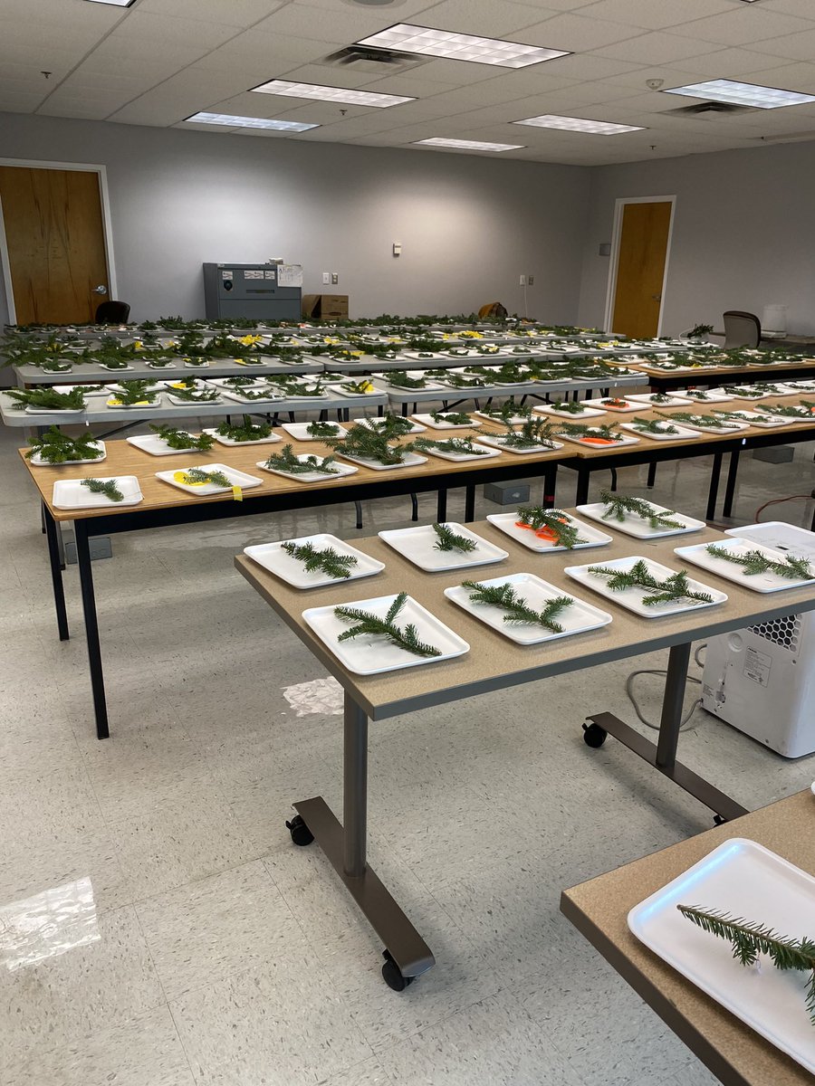 Mathew Vankoughnett tweet media