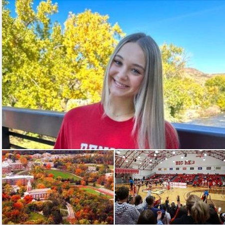 Louis Birch tweet media