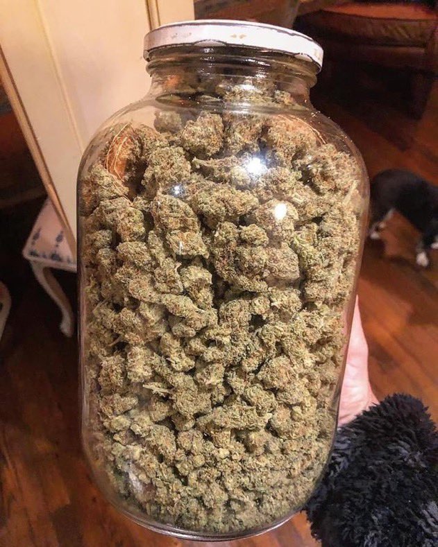 How long this lasting?? 😳🔥 #StonerFam #Mmemberville #WeedLovers #CannabisCommunity