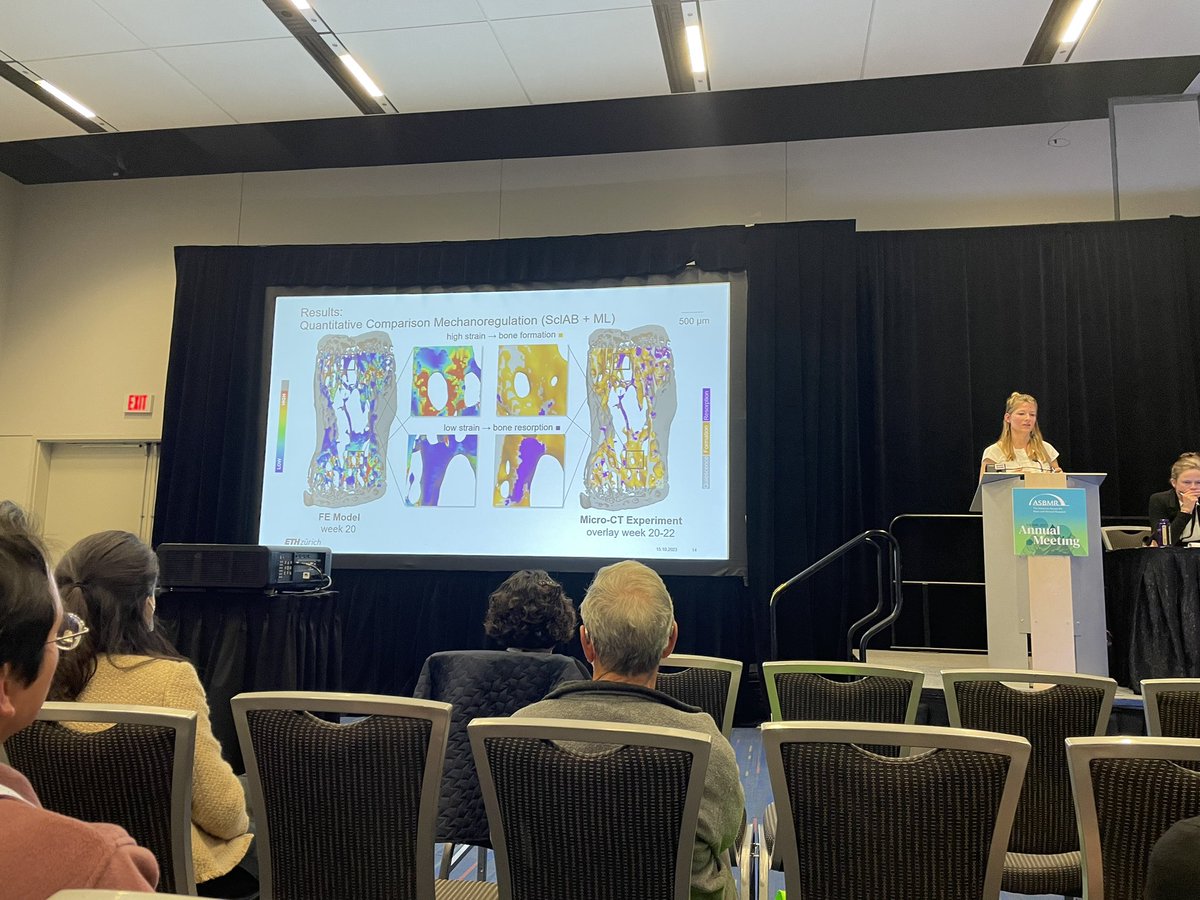 Great presentation by <a href="/jkgriesbach/">Julia Griesbach</a> and <a href="/eth_bone/">Ralph Müller</a> on mechanical stimulation combined with pharmacological treatments! There should be an award for best visualisations at #ASBMR2023!