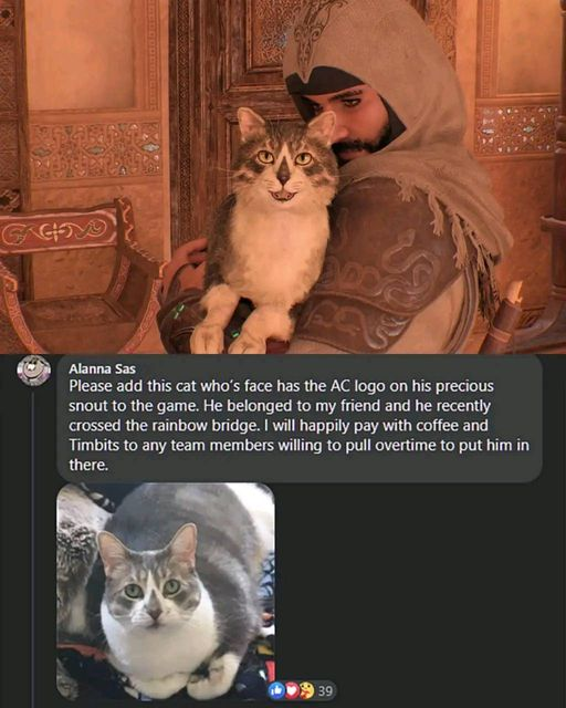 WholesomeMemes (@wholesomememe) on Twitter photo 