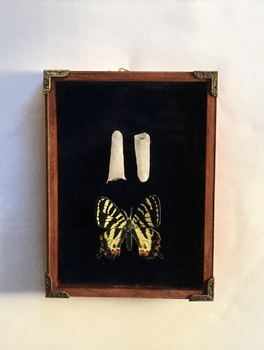 おはようございます＊
すっかり秋晴れですね🍁

【青い森で】
ガラスの指とトレペに描いた蝶🦋の箱作品です。