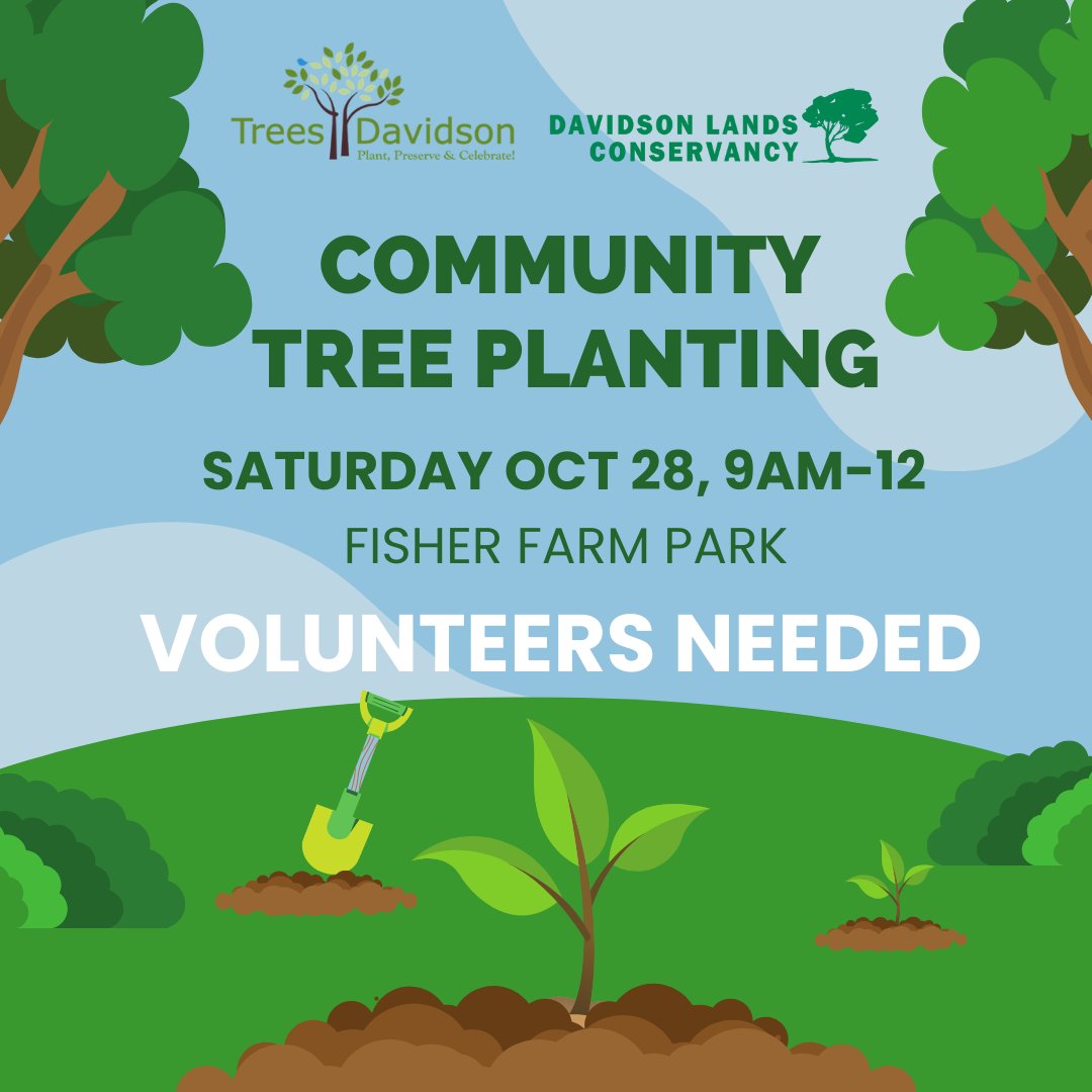 TreesDavidson tweet media