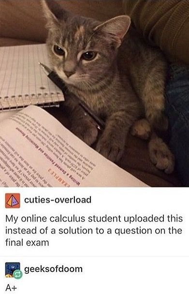 WholesomeMeme's tweet photo. https://t.co/7Sovzw17BV