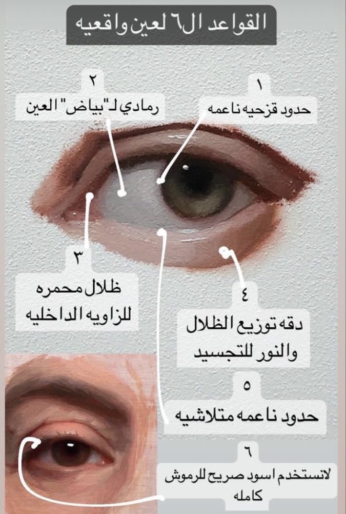 Draw_Learning's tweet image. القواعد ال ٦ لعين واقعيه ..