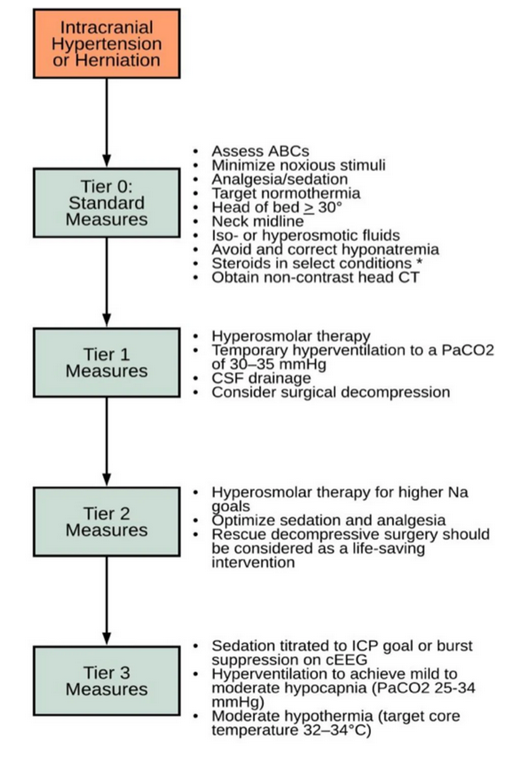 Diagnosis and management of elevated intracranial pressure in the emergency department

CCR Journal Watch
criticalcarereviews.com/latest-evidenc…

Get the latest critical care literature every weekend via the CCR Newsletter - subscribe at criticalcarereviews.com/newsletters/su…