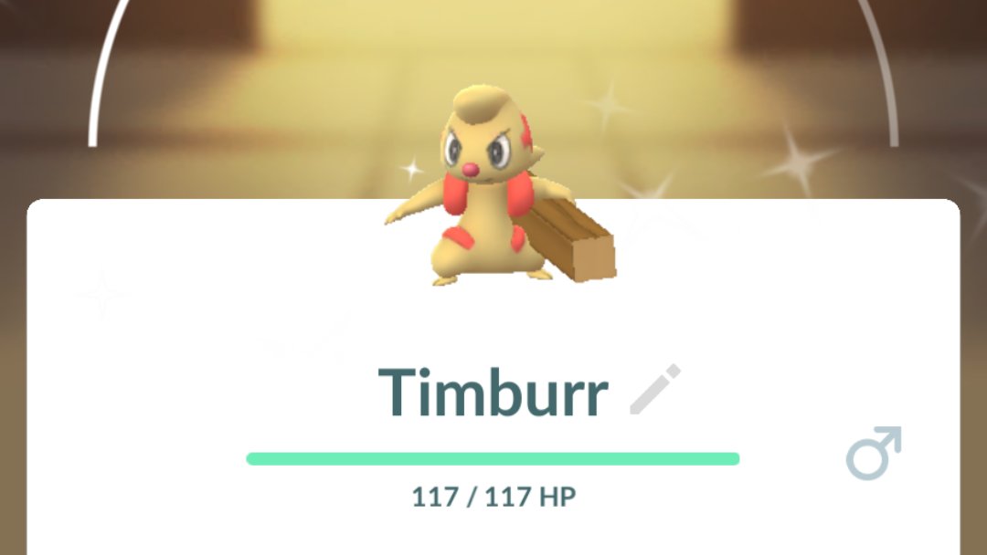 PaigeEtheridge1's tweet photo. A 98% and 7 shines! I absolutely loved this one. Absolutely joy. 🦫🪵🐿️🧡🧡🧡

#Timburr #timburrcommunityday #PokemonGOCommunityDay #pokemongo #gaming https://t.co/piVSqltPEk