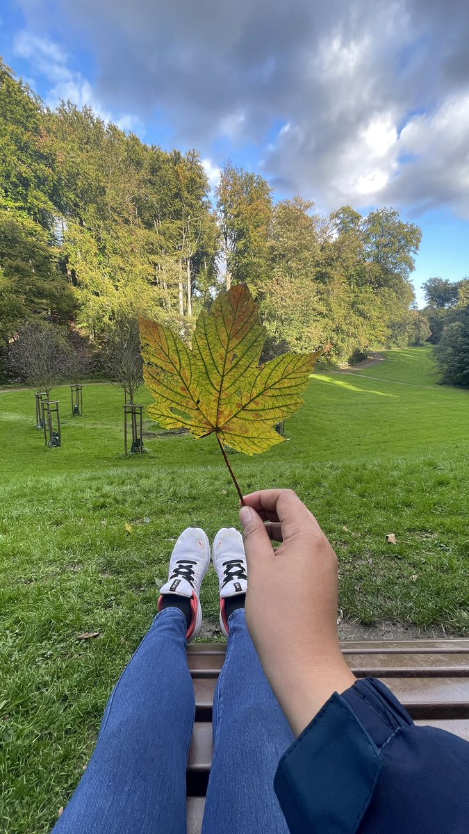 ABUprofen's tweet photo. Autumn is here 🍃🍂🍁 https://t.co/WaTiREbyqZ