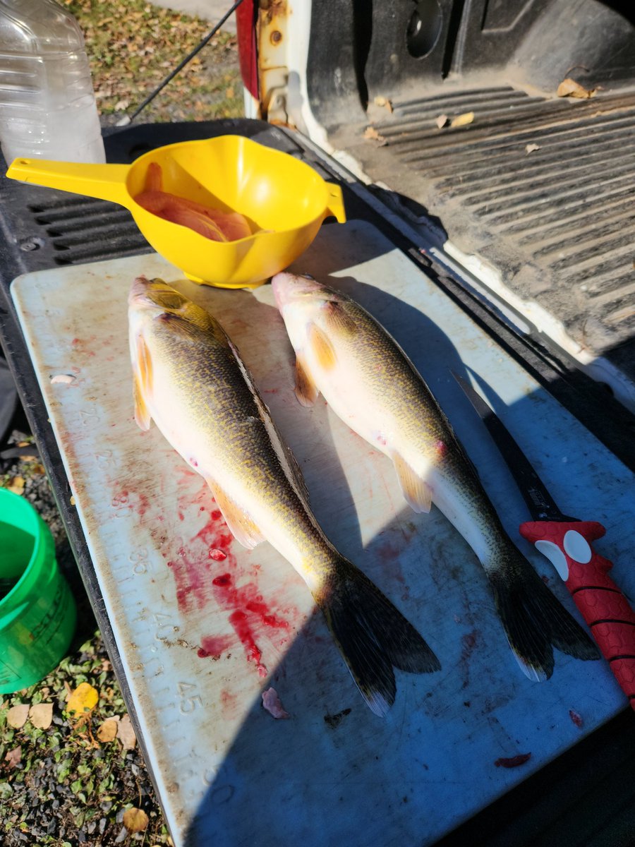 Walleye in the morning,  grouse in the evening! Hey Mike, retirement in the northland is outstanding!!