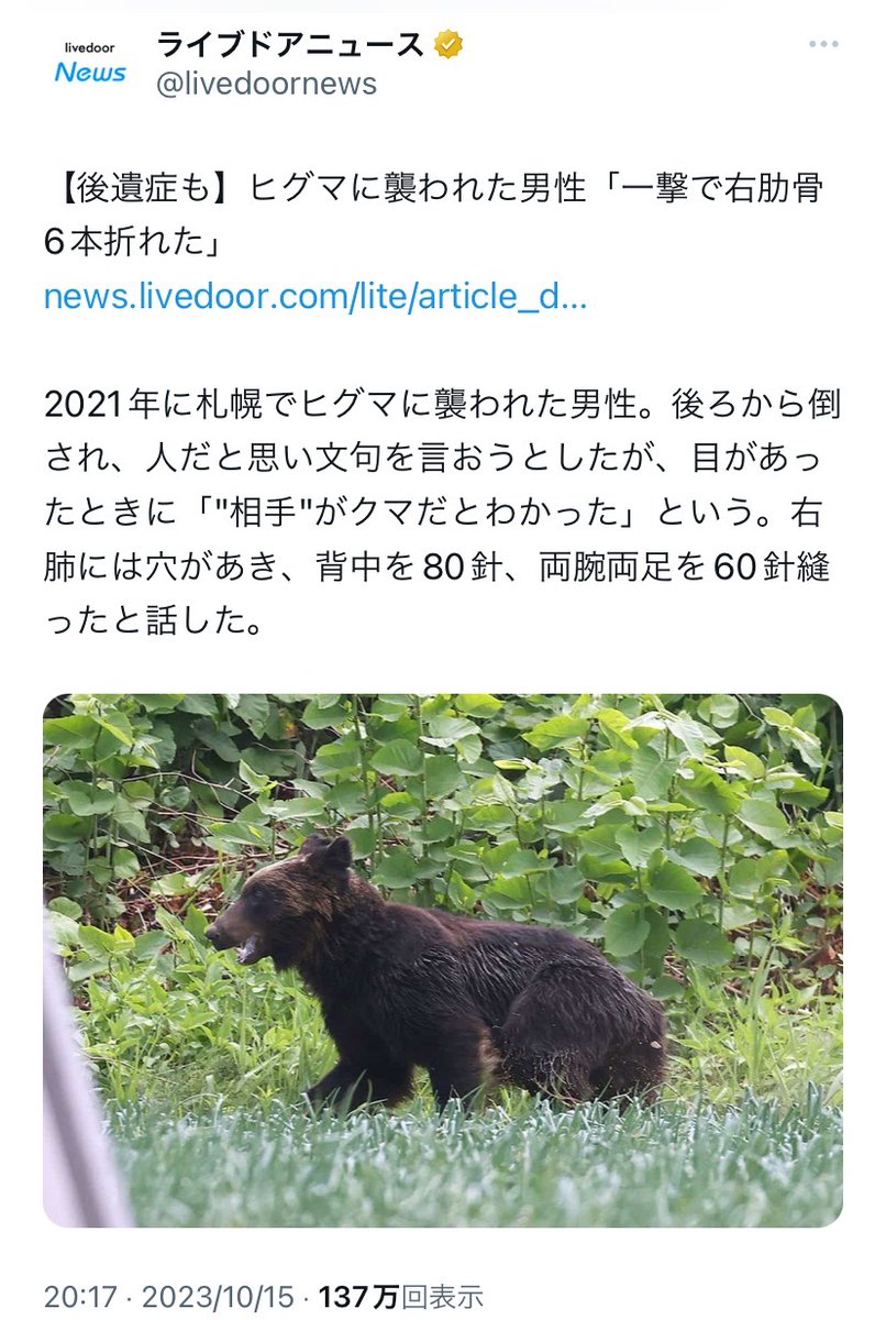 ヒグマの一撃のパワーやばすぎて泣いた。