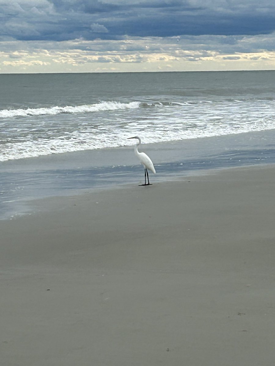 Surfside Beach, SC
