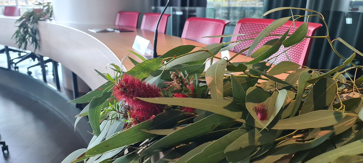 For all Aboriginal &amp; Torres Strait Islander #Nurses &amp; #Midwives as you provide care to Australia today &amp; future. Sending love &amp; BigYes! to you across the song-lines today in this message of Country in strength &amp; unity for spiritual physical emotional social &amp; cultural healing 🌺