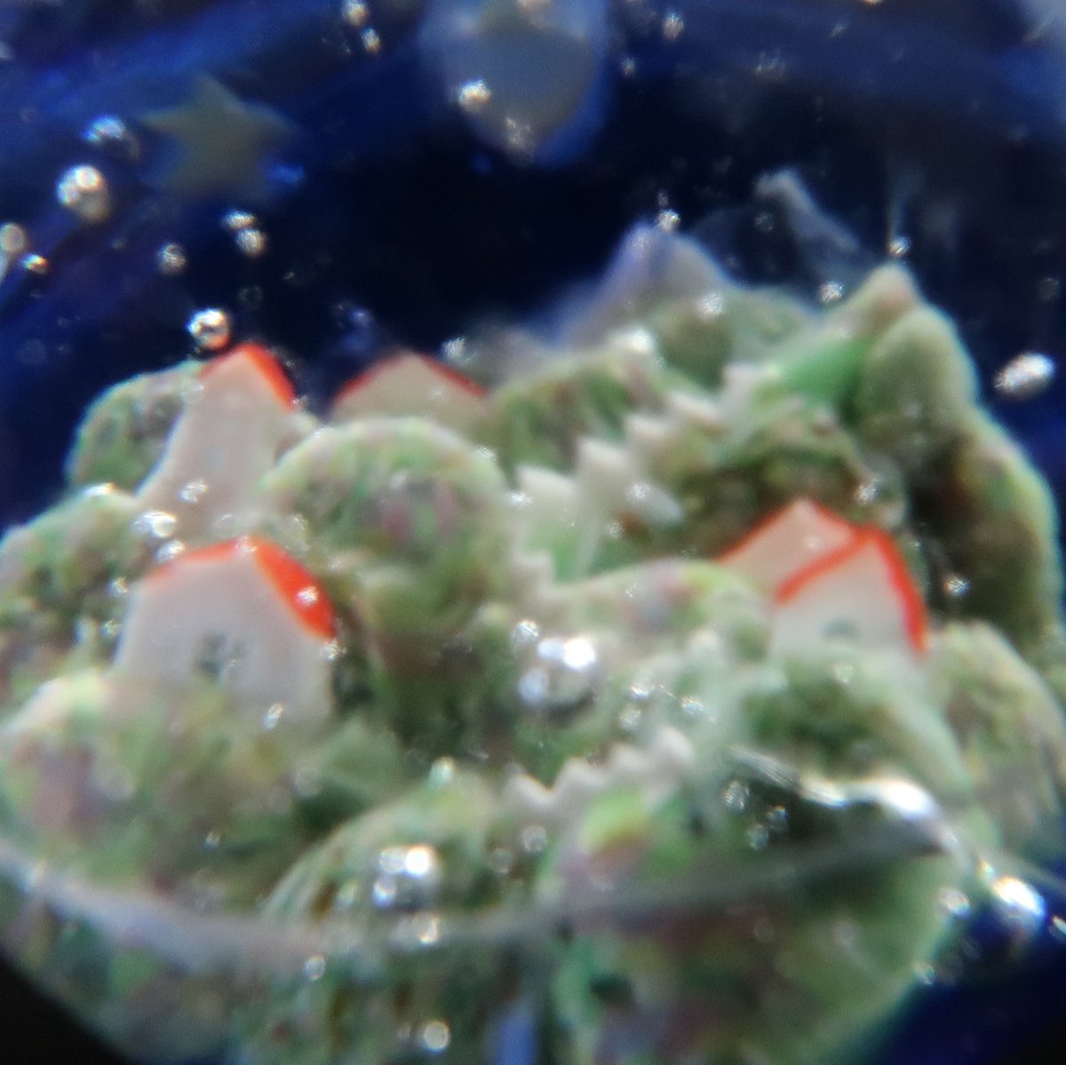 #新しいプロフィール画像