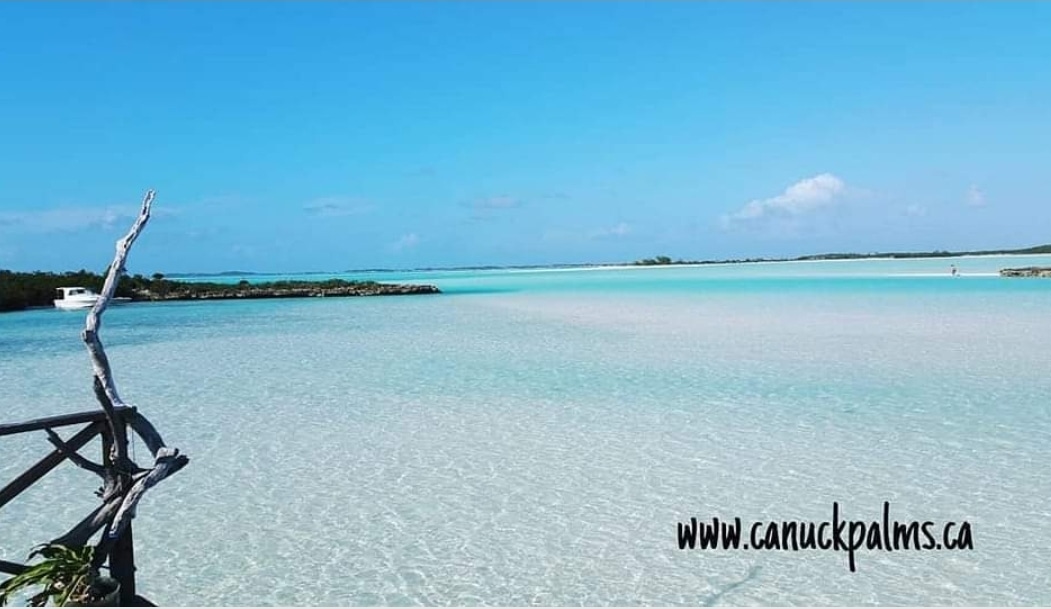 Paradise.....
canuckpalms.com 
#guests #airbnb #superhost #vrbo #canuckseries #guestreviews #shortstays #grandview #thecanuckdropshere #canuck #payitforward #decor #certificateofexcellence #tripadvisor #muskoka #itsbetterinmuskoka #fairylake #vacationrental #vacationhome