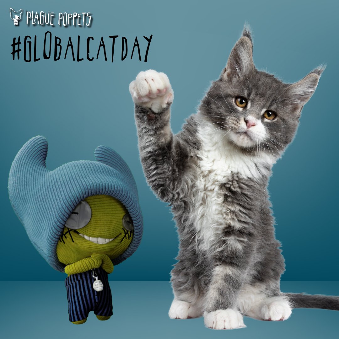 Today's a big day in the Orphanarium... it's #GlobalCatDay 🐈‍⬛

Poppets & cats are the best of friends, working together to formulate devious plans resulting in extended nap times & comfy climbs to Mount Bed! Join them in celebrating our feline friends today 💙

#LoveCatsMore