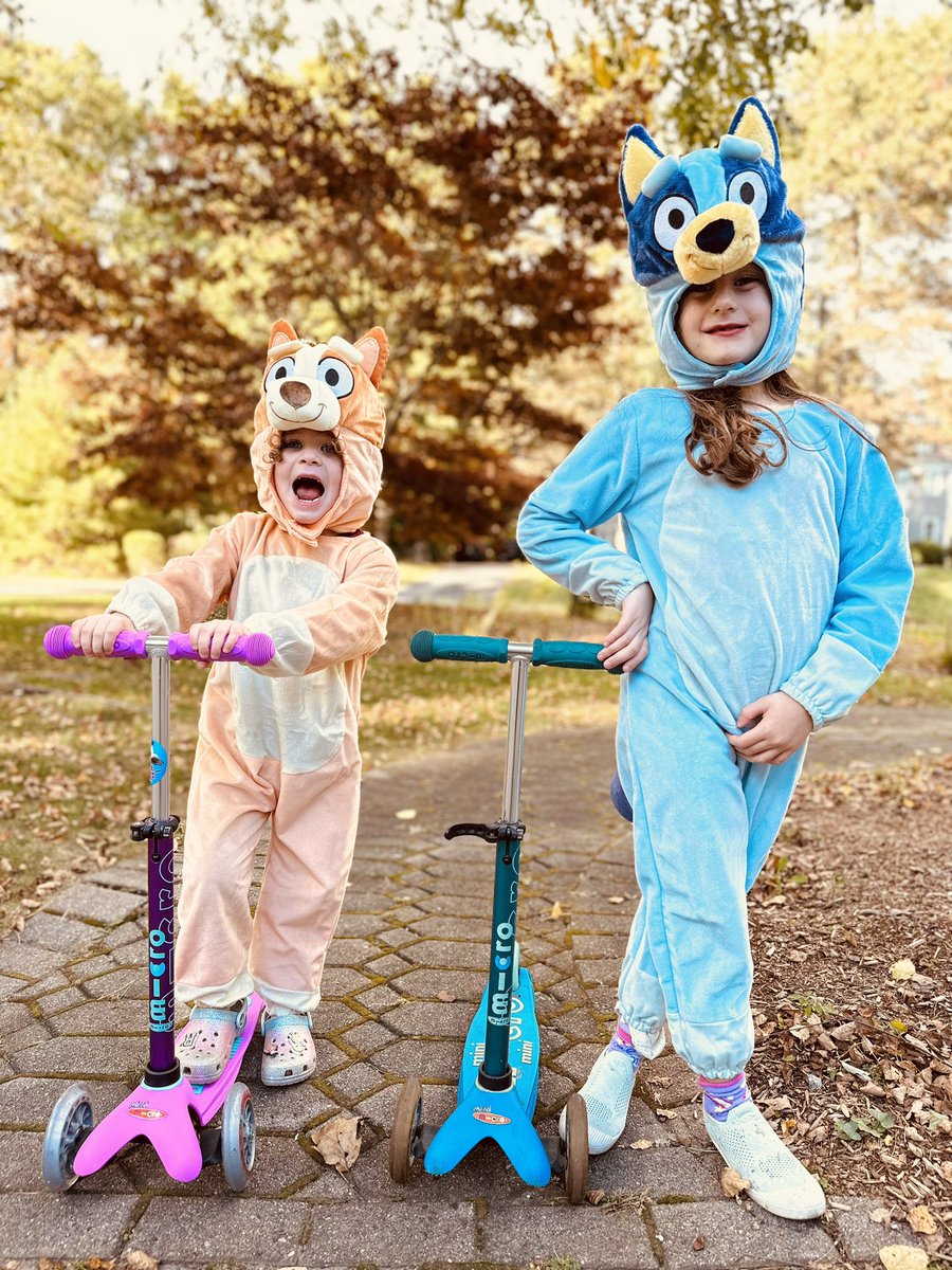 Jarrett Lerner tweet media