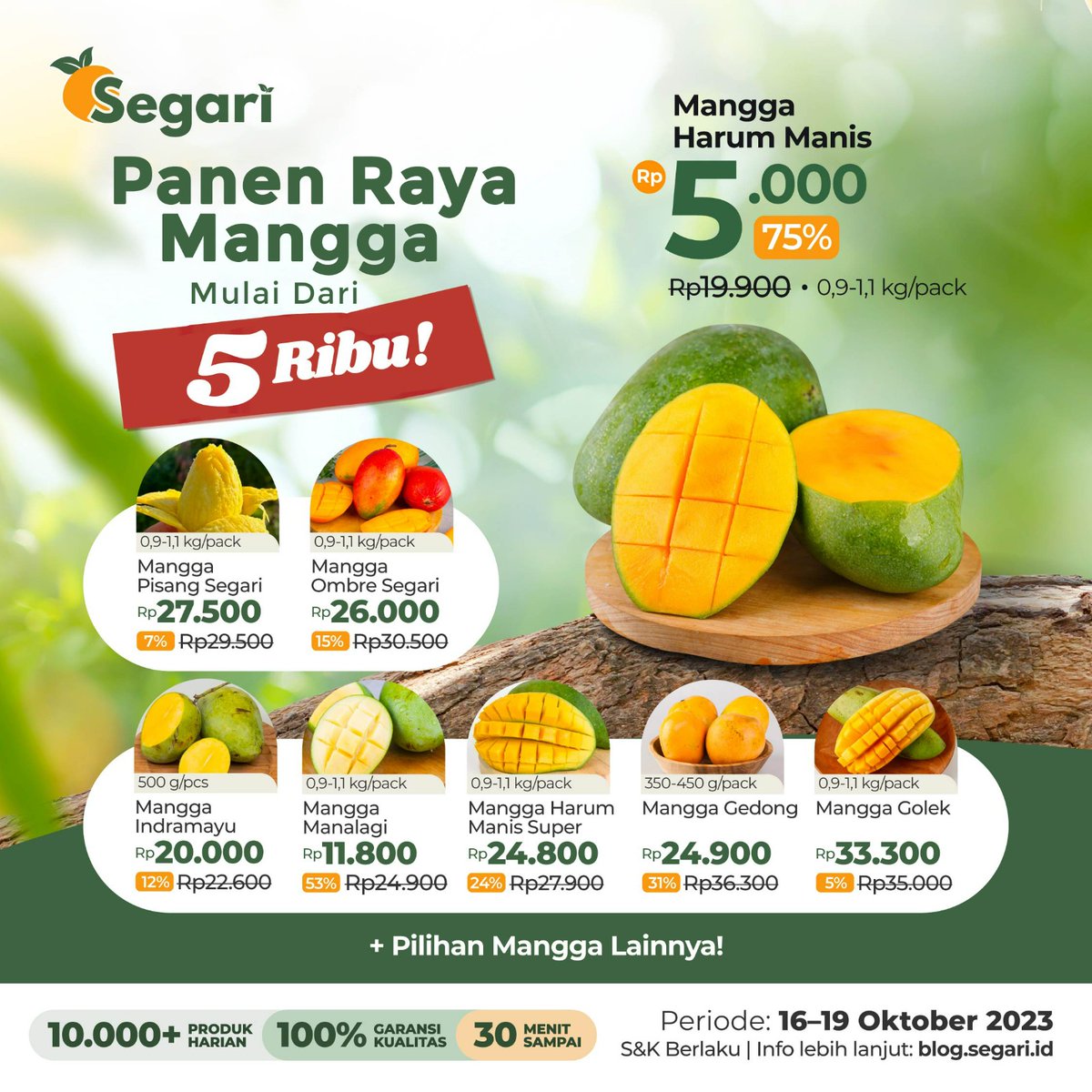 Ini Anggia tweet media