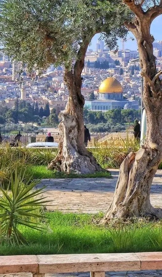 {إِن يَنصُرْكُمُ اللَّهُ فَلَا غَالِبَ لَكُمْ ۖ وَإِن يَخْذُلْكُمْ فَمَن ذَا الَّذِي يَنصُرُكُم مِّن بَعْدِهِ ۗ وَعَلَى اللَّهِ فَلْيَتَوَكَّلِ الْمُؤْمِنُونَ} 🇵🇸❤️