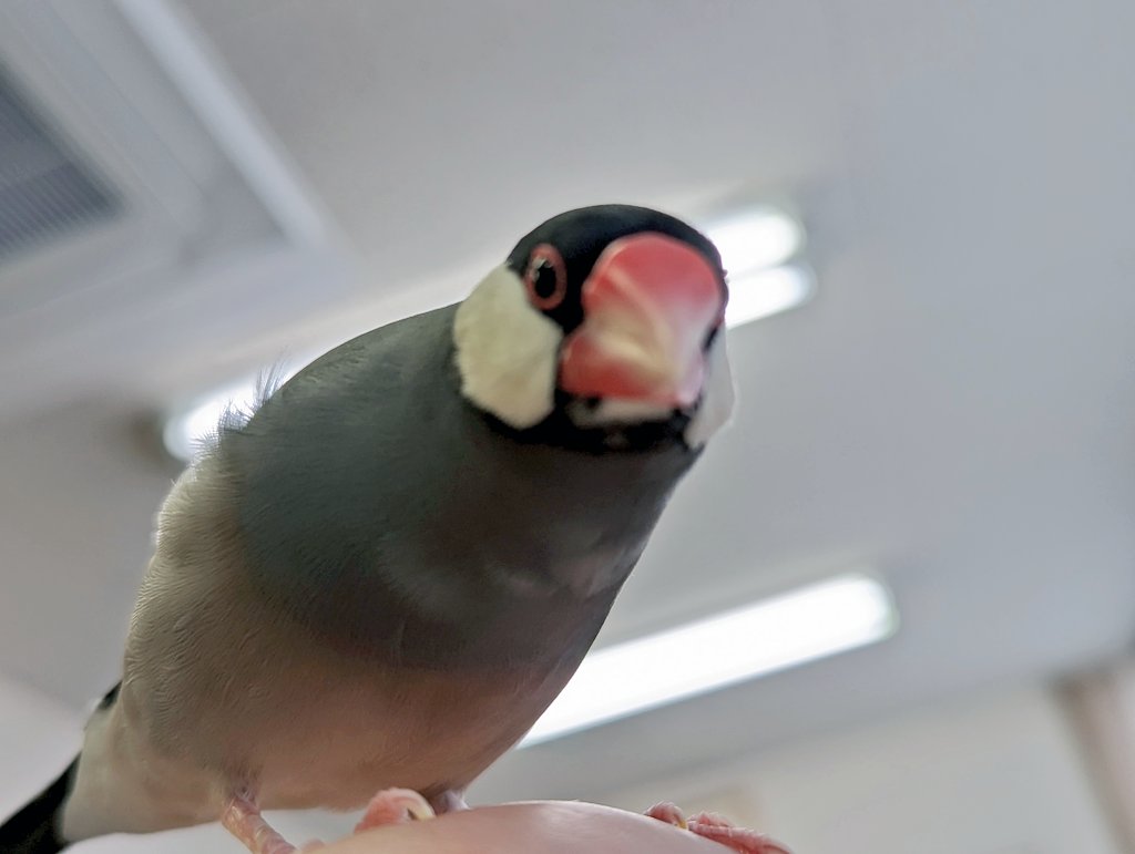 進捗いかがですか
#もずく次長