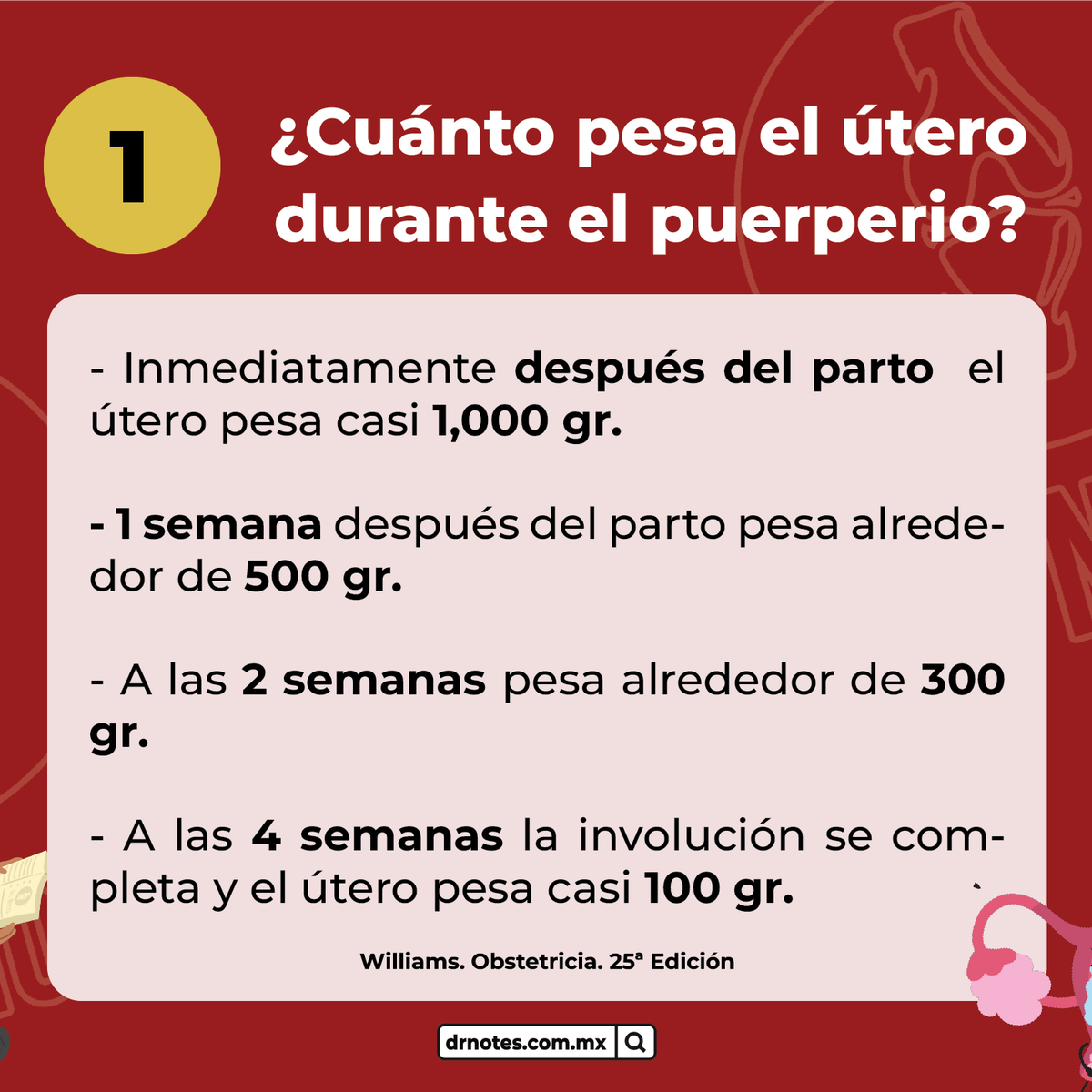 DrNotesOficial's tweet photo. Checa estas preguntas random que vinieron en el #ENARM2023 con su respuesta🧠, ¿qué otra pregunta te vino en tu examen? https://t.co/NAoe4mSrAR