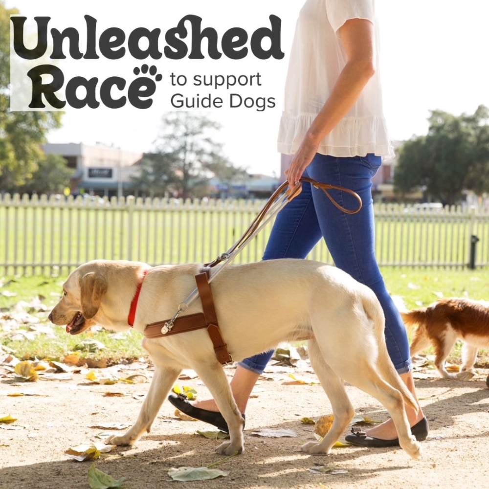 xleventsaust's tweet image. 🚀 Introducing: UNLEASHED! 🚀
Our brand-new event is now live! Dive into transformative experiences that shift perspectives. Connect, challenge your perceptions & actively support Guide Dogs Australia.
👉 zurl.co/58Bf 
#SupportGuideDogs #Unleased  #NewEventLive