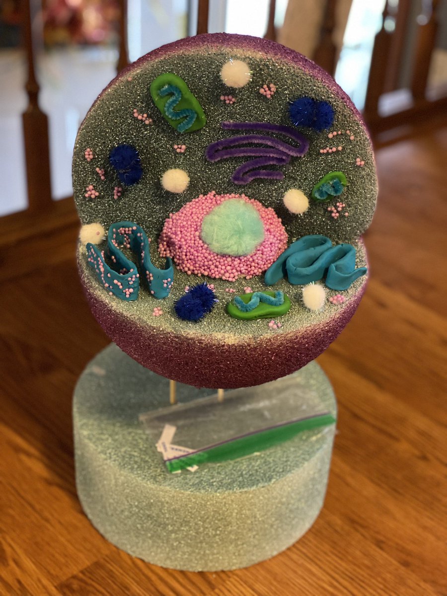 XoxoCruellaDee's tweet image. Got to help babygirl with her science project. We had so much fun. 🤞🏽🤗🦠